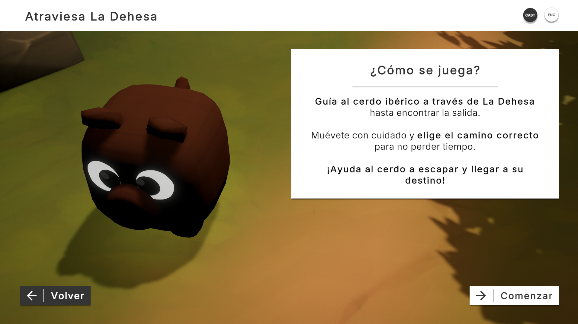 Instructions for the Dehesa museum game