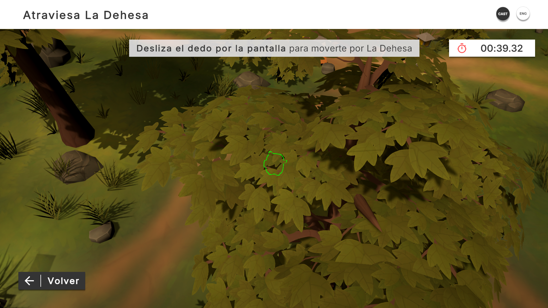 Pig hidden beneath foliage in the Dehesa environment